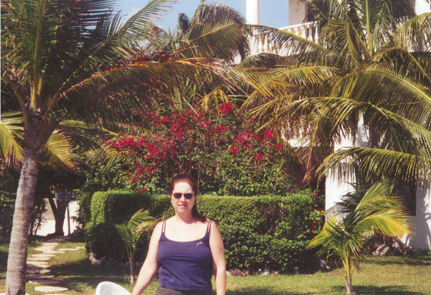 room.jpg (115052 bytes)